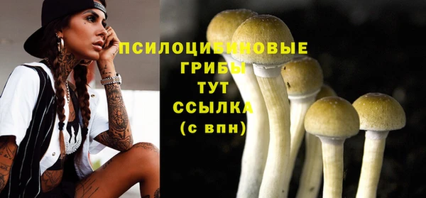 ГАЛЛЮЦИНОГЕННЫЕ ГРИБЫ Краснотурьинск