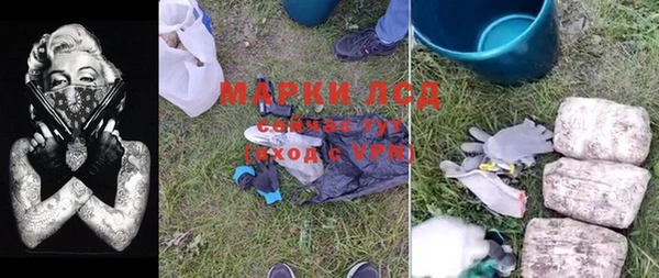 ГАЛЛЮЦИНОГЕННЫЕ ГРИБЫ Краснотурьинск