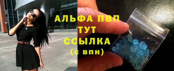 СК Козельск
