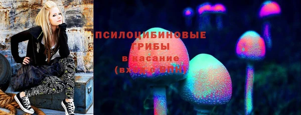 ГАЛЛЮЦИНОГЕННЫЕ ГРИБЫ Краснотурьинск