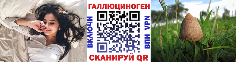 Галлюциногенные грибы Magic Shrooms Бердск